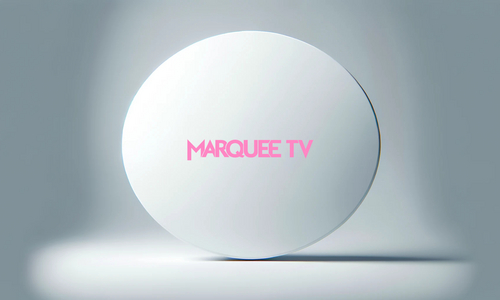 Fresh audience Insights from an arts streaming platform: Marquee TV
